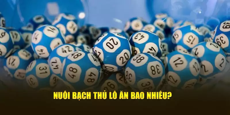 Nuôi bạch thủ lô ăn bao nhiêu?