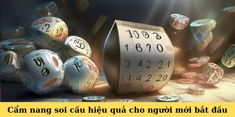 Cẩm nang soi cầu hiệu quả cho người mới bắt đầu