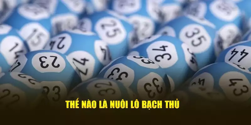 Thế nào là nuôi lô bạch thủ